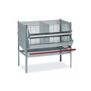 GABBIA GALLINE OVAIOLE 2 SCOMPARTI – 80 CM