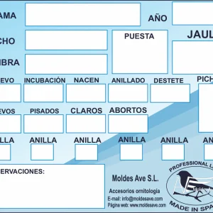 Mappa in crescita - Moldes Ave