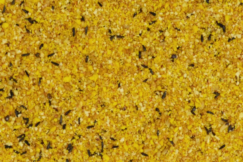 Mangime per l'allevamento Grizo Yellow Moist Bird-X 800 Grammi - immagine 7