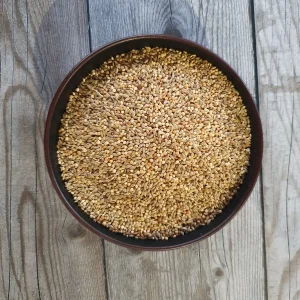 Michotte Goulds Esotici 1kg