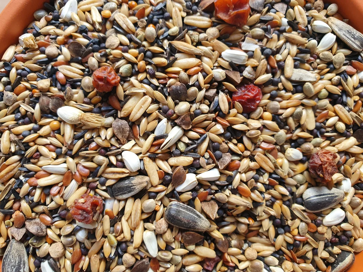 Verde & Cardellino 1kg 217 - Hobbyfarm Hoebregts - immagine 2