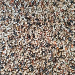 Liessens 214 Cardellini - Hobbyfarm Hoebregts