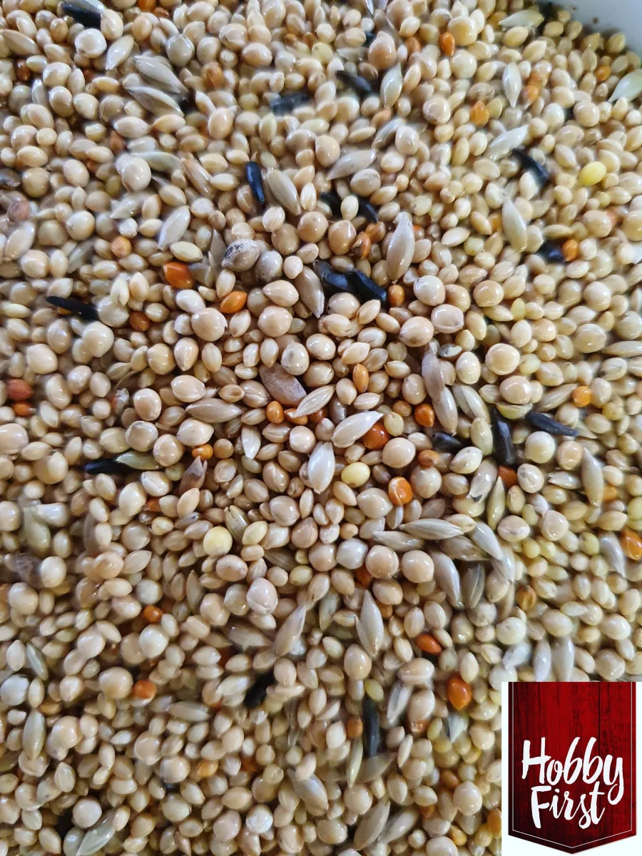 Miscela di qualità King Exotics 5 kg - HobbyFirst - immagine 3