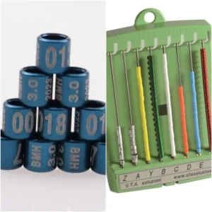 5 Anelli Annuali Chiusi 2023 + Porta Anelli Sta Beige