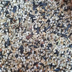 Lucherini europei e americani 5 kg - Hobbyfarm Hoebregts 219