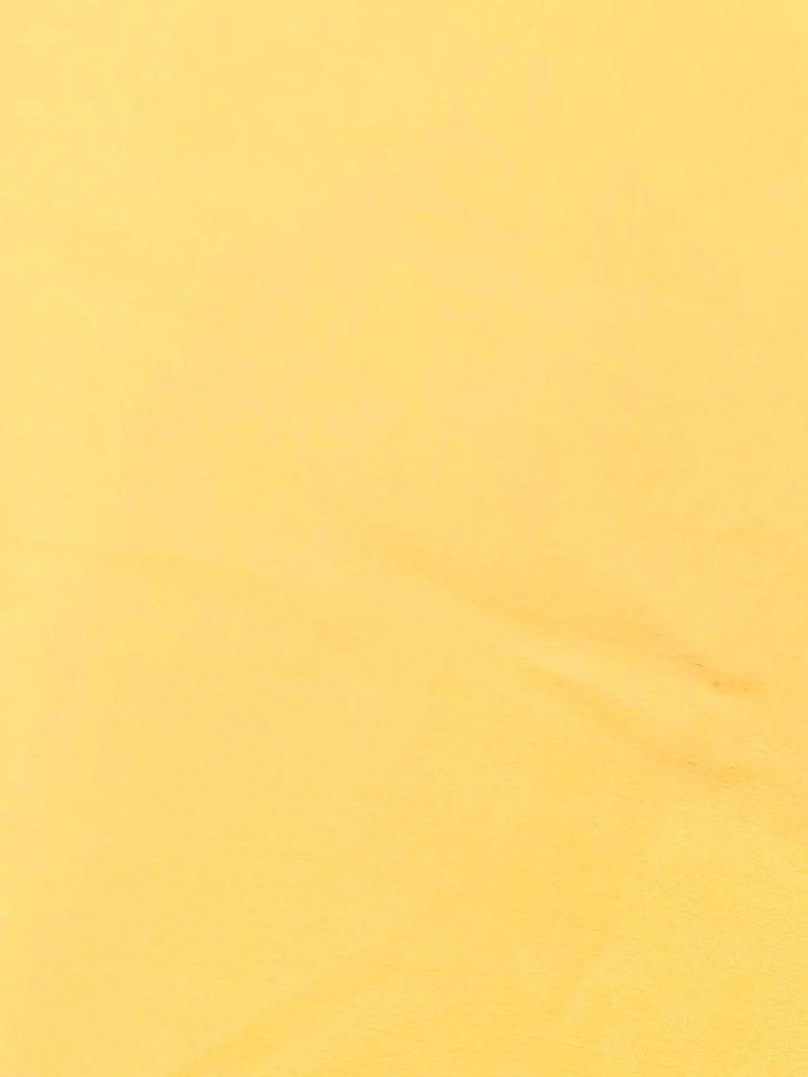 Guinzaglio BASIC COLORS - immagine 3