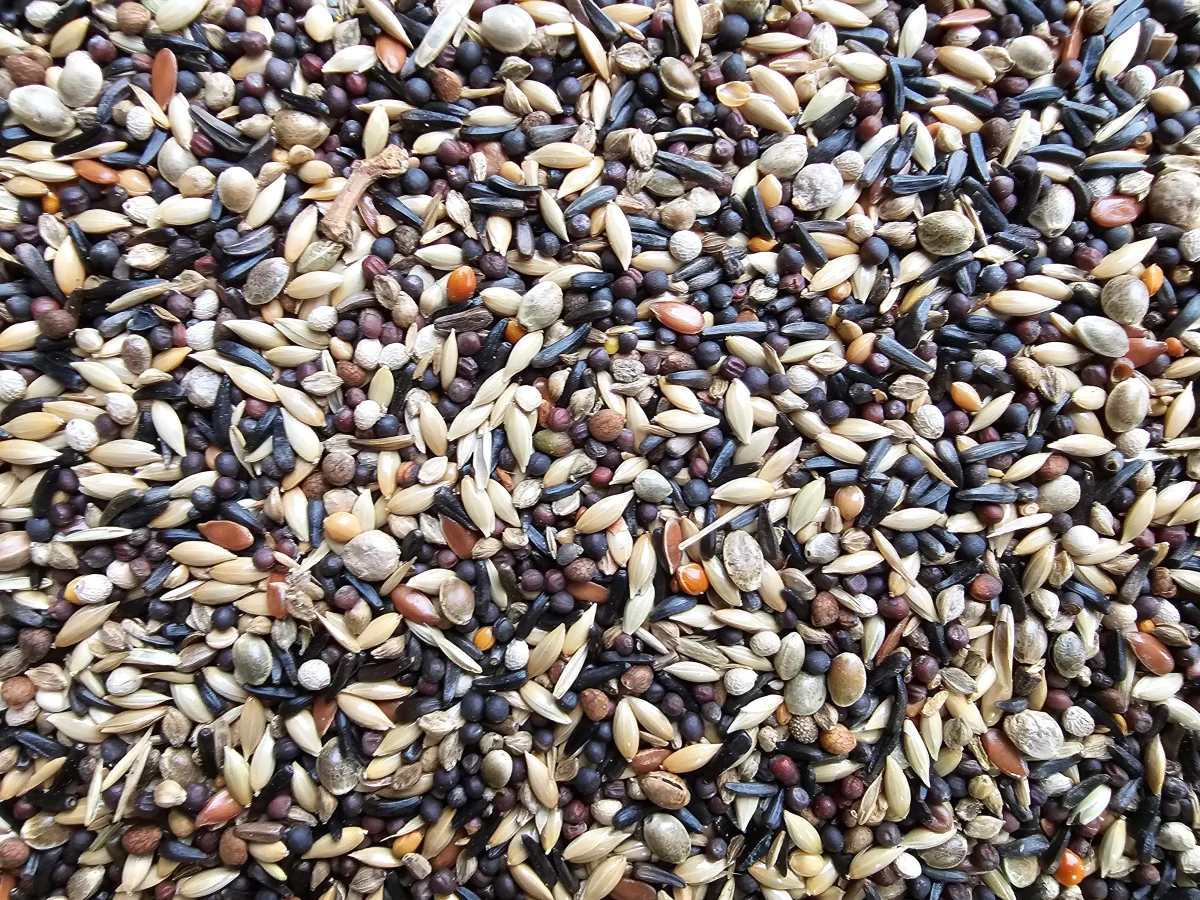 Lucherini e Cardellini "Super" 5kg - immagine 2