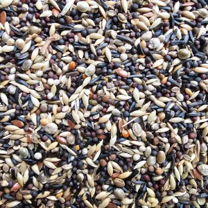 Lucherini e Cardellini "Super" 1kg