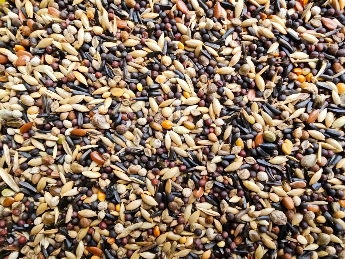 Lucherini e Cardellini "Super" 5kg - immagine 3