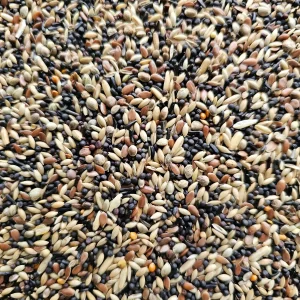 Lucherino & Cardellini 1kg - Hobbyfarm Hoebregts