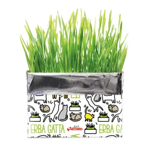 kit per Erba gatta in busta, Naturale al 100% per Gatti, 120g