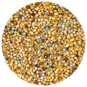 Allevamento e muta classici - Cibo per piccioni - 5 kg - Versele-Laga