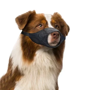 Museruola per cani in nylon regolabile