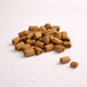 Stick di salmone da addestramento – 100 g