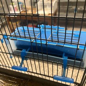 Alimentatore Atlantis - Moldes Ave