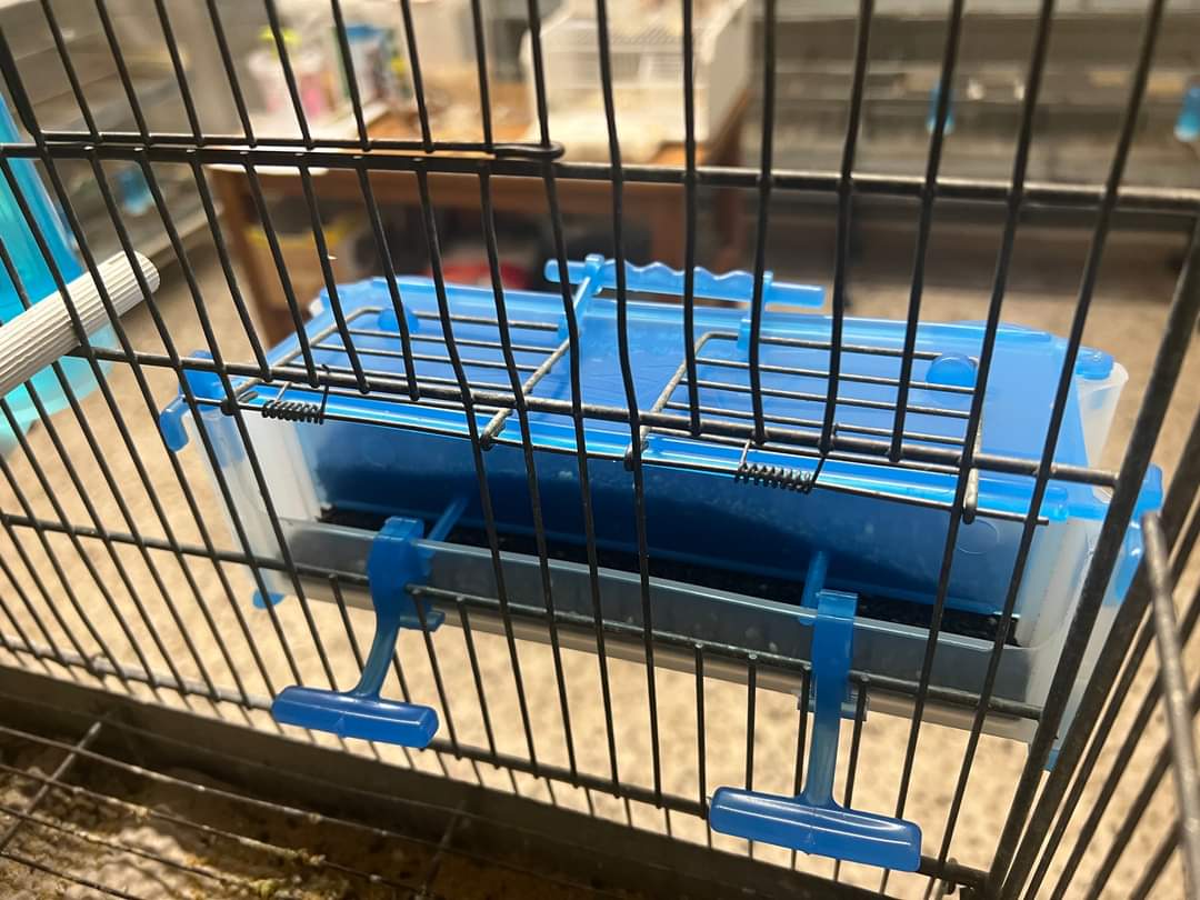 Alimentatore Atlantis - Moldes Ave