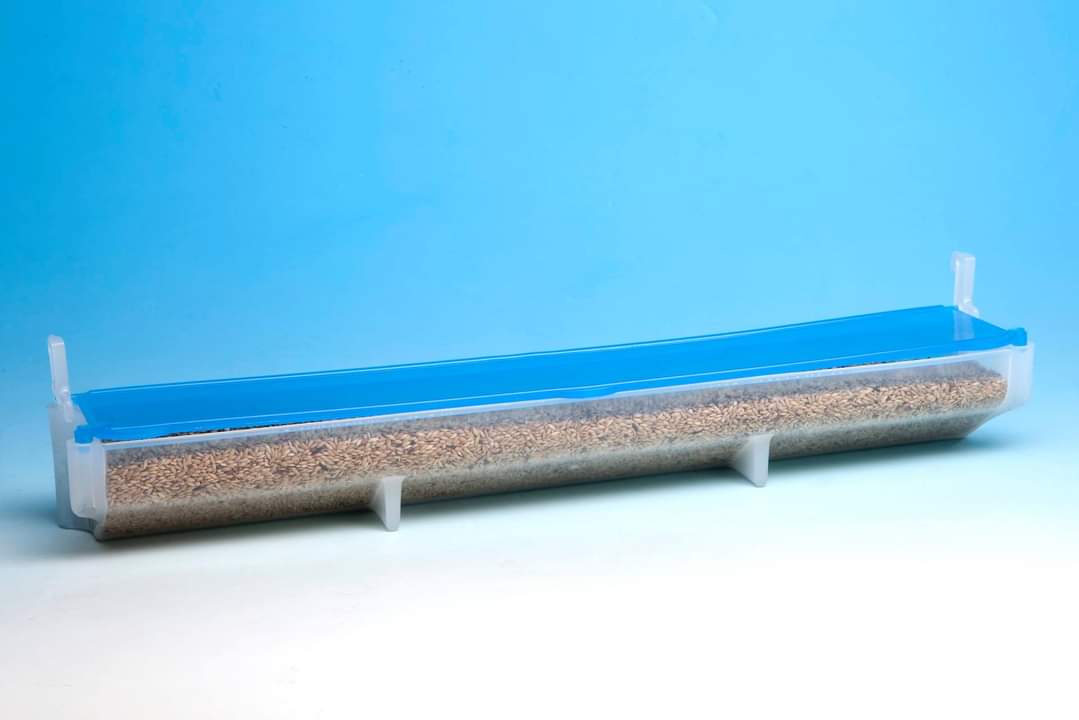 Mangiatoia El Muro - Moldes Ave - immagine 4