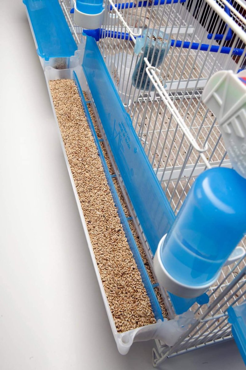 Mangiatoia El Muro - Moldes Ave - immagine 6