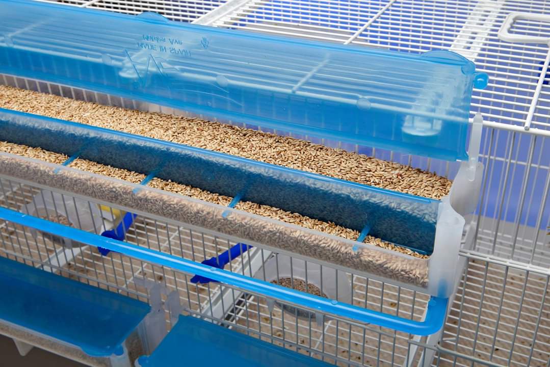 Mangiatoia El Muro - Moldes Ave - immagine 5