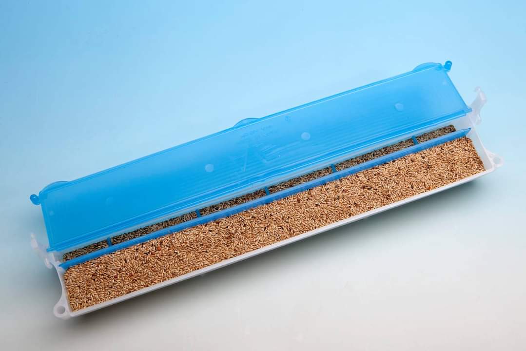 Mangiatoia El Muro - Moldes Ave - immagine 3