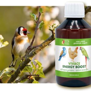 Vivace Energy Boost - Vita Vogel
