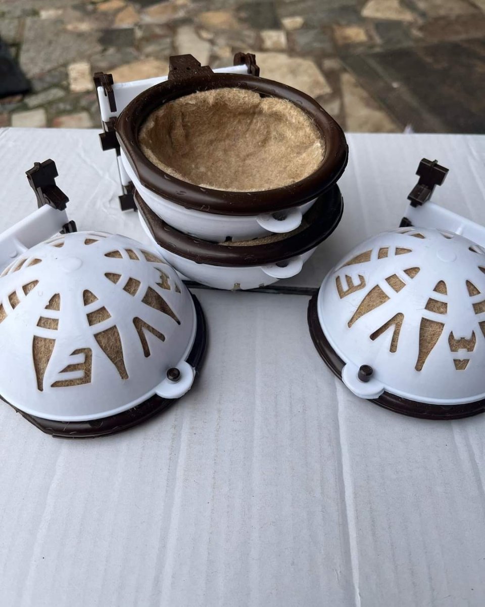 1 Nido Nicolas + 5 Anelli Rimovibili - Moldes Ave