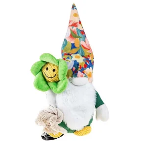 Leopet gioco cane Gnomo in canvas