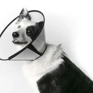 Leopet collare chirurgico elisabettiano con velcro