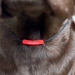 Medaglietta Tubolare