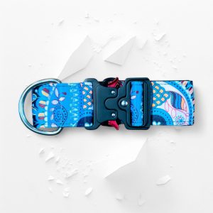 Collare a fascia larga 5 cm