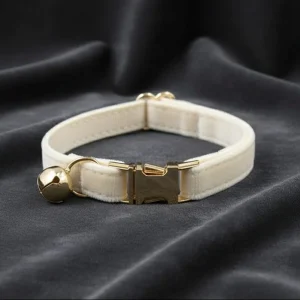 Collare elegante in velluto e fibbia in lega di zinco color oro