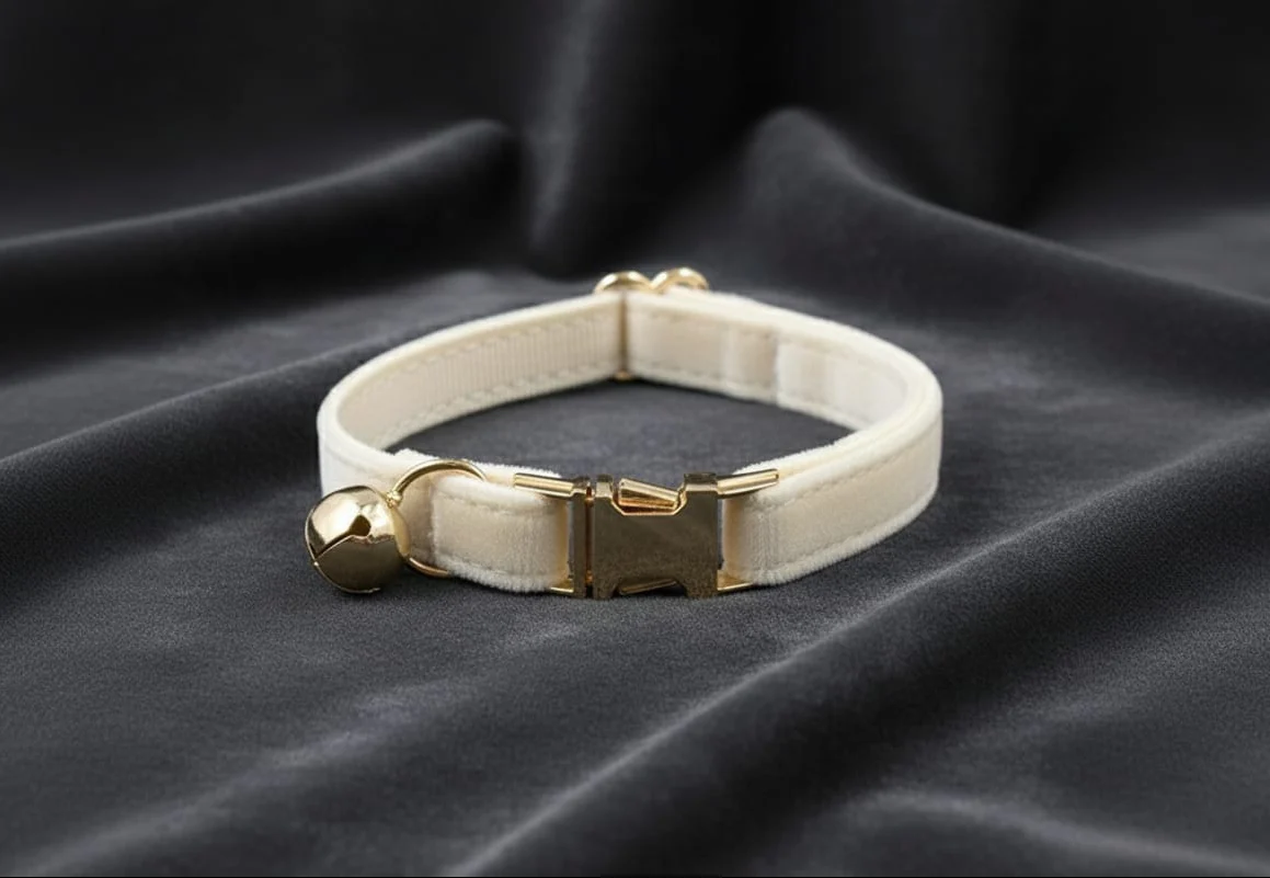 Collare elegante in velluto e fibbia in lega di zinco color oro - immagine 2