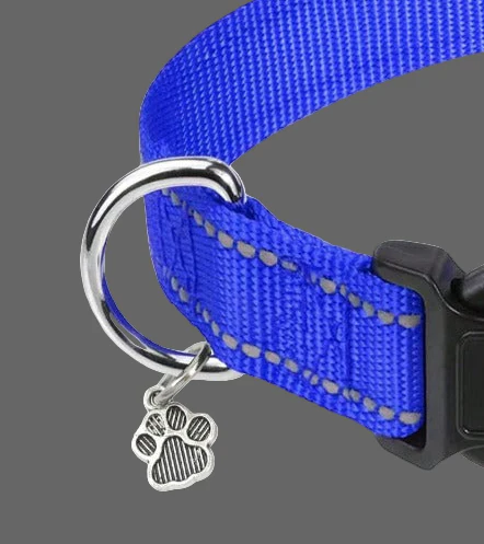 Collare rinfrangente cani e gatti - immagine 3