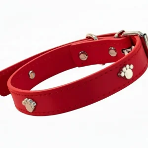 Collare per gatti e cani di piccola taglia con borchie zampetta