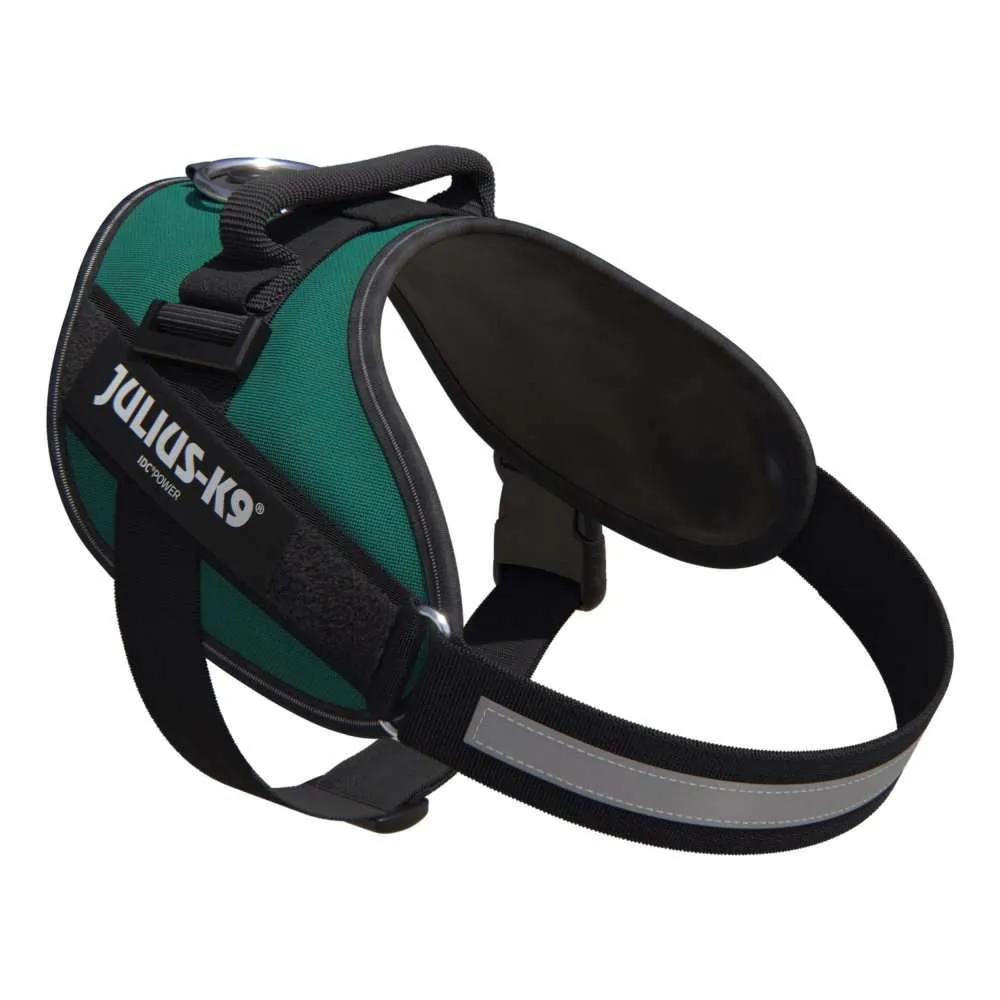 Pettorina Julius K9 Power Harness Classic - immagine 4