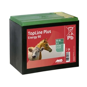 BATTERIA A SECCO DA 9 V – 90 AH