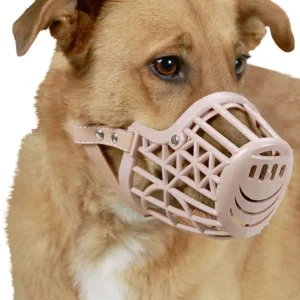 Museruola per cani in plastica con cinghie in pelle