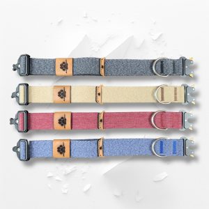 Collare City fascia 4 cm