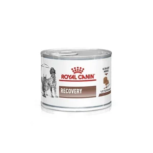 Royal Canin diet cane e gatto recovery mousse lattina 195 gr