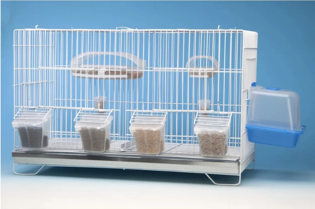 Mangiatoia Tulipa Trasparente - Moldes Ave - immagine 5