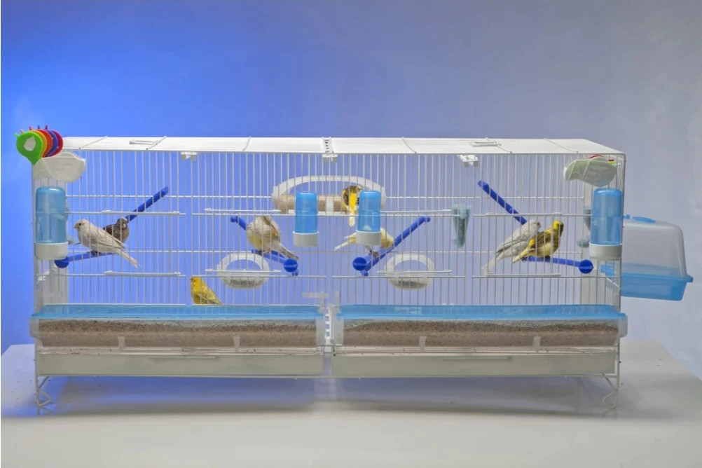 Mangiatoia El Muro - Moldes Ave - immagine 7