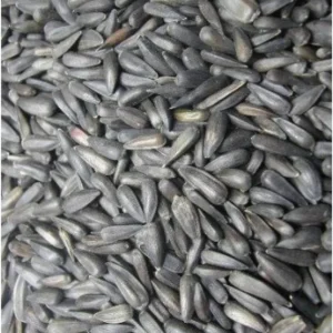 Micro Semi di Girasole Nero 25kg - Grizo