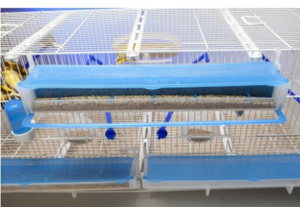 Mangiatoia El Muro - Moldes Ave - immagine 8