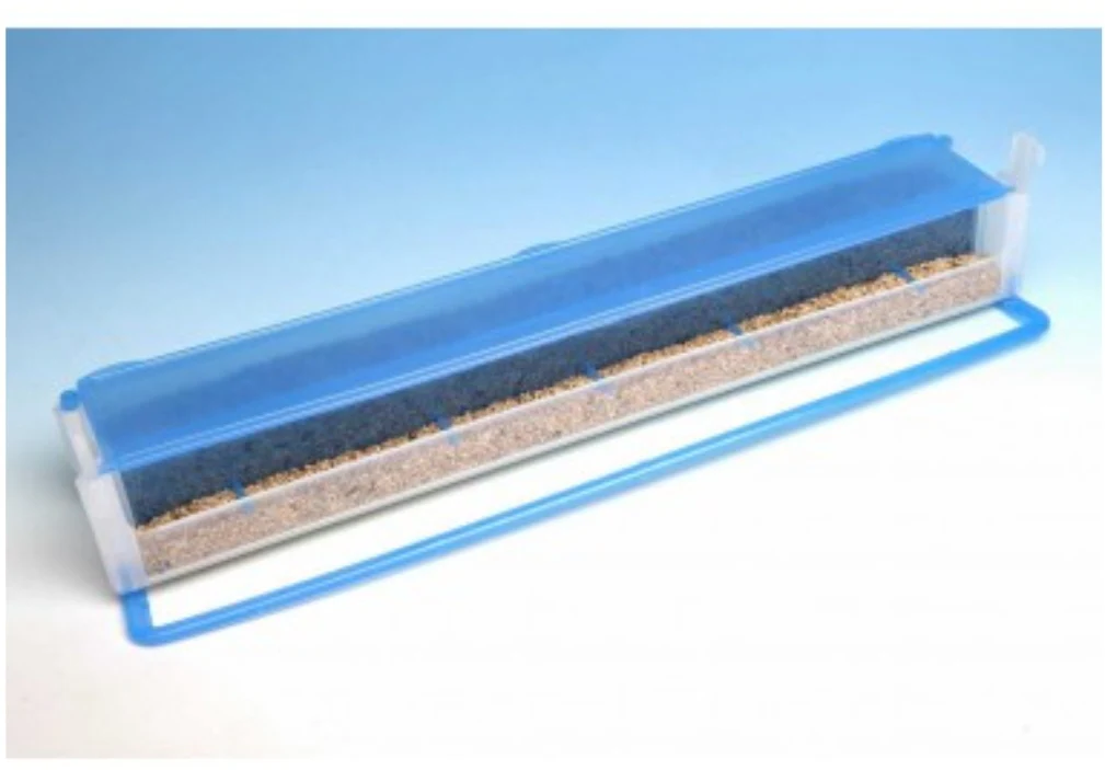 Mangiatoia El Muro - Moldes Ave