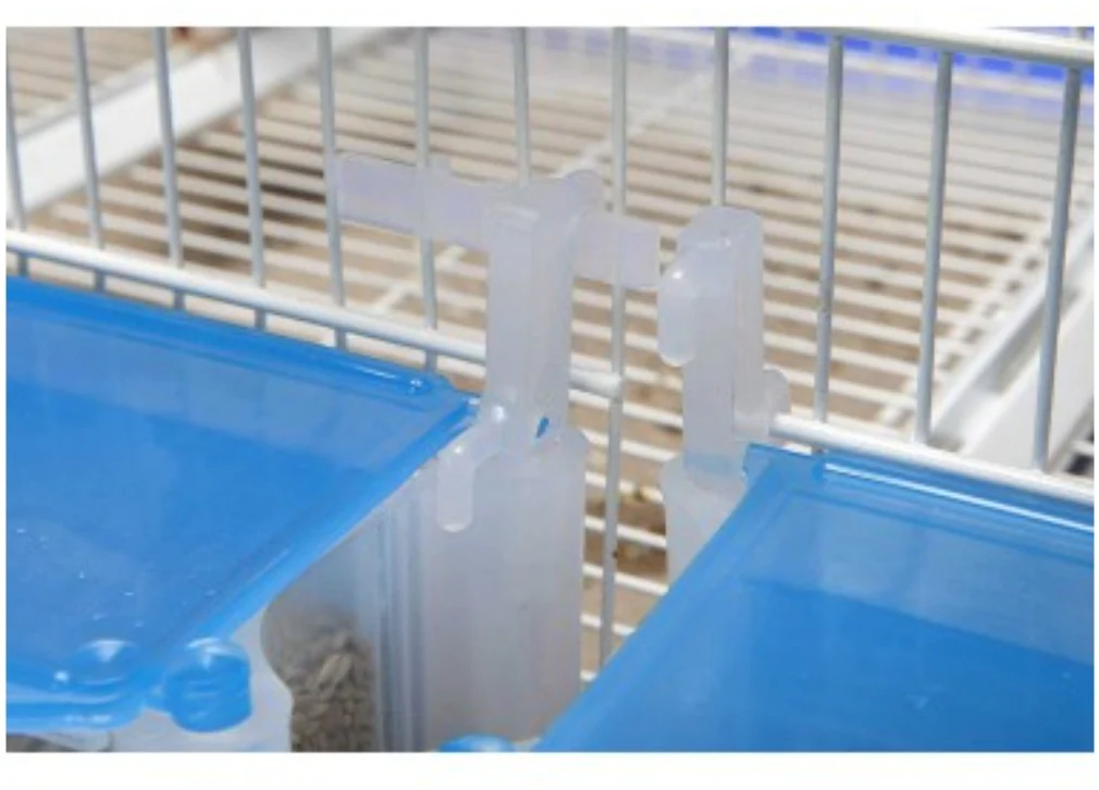 Mangiatoia El Muro - Moldes Ave - immagine 9