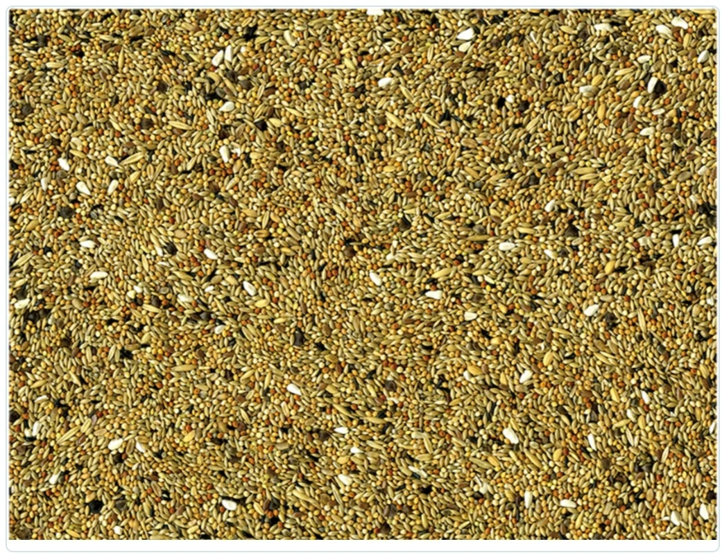 Agapornis e Neophema 20kg - Vadigran - immagine 3