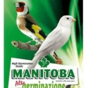 Manitoba Alta Germinazione - 2,5kg