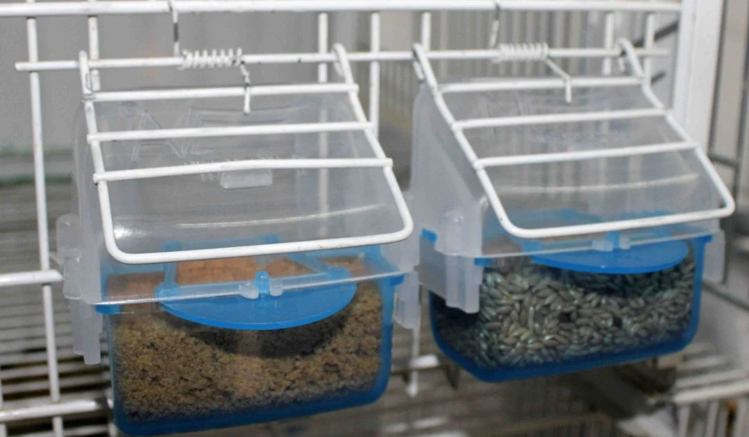 Mangiatoia "Lucia" BLU con vassoio estraibile - Moldes Ave - immagine 3