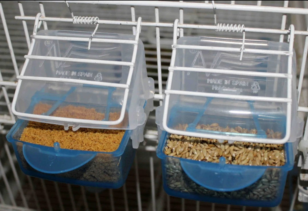 Mangiatoia "Lucia" BLU con vassoio estraibile - Moldes Ave - immagine 5