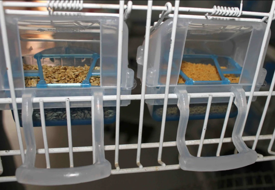 Mangiatoia "Lucia" BLU con vassoio estraibile - Moldes Ave - immagine 9